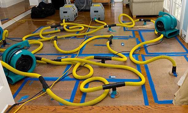 Professional Emergency Water Removal technician working in Madrid, IA